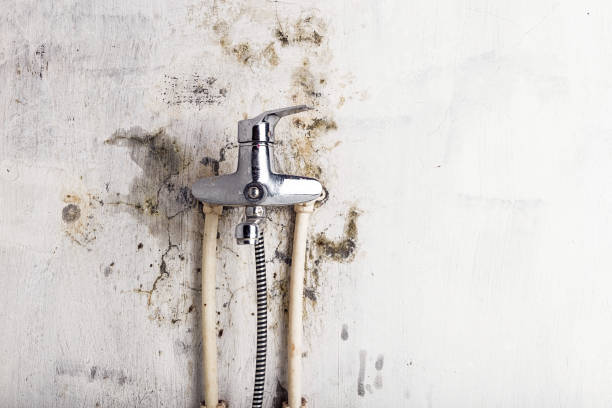 Centerfield, UT Mold Removal Company