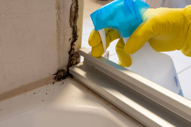 Best Mold Cleaning Services  in Centerfield, UT