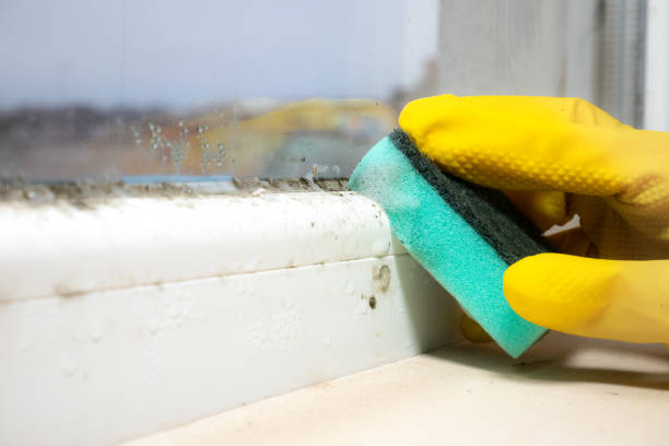 Best Crawl Space Mold Removal  in Centerfield, UT