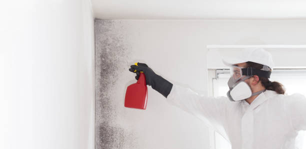 Best Commercial Mold Removal  in Centerfield, UT