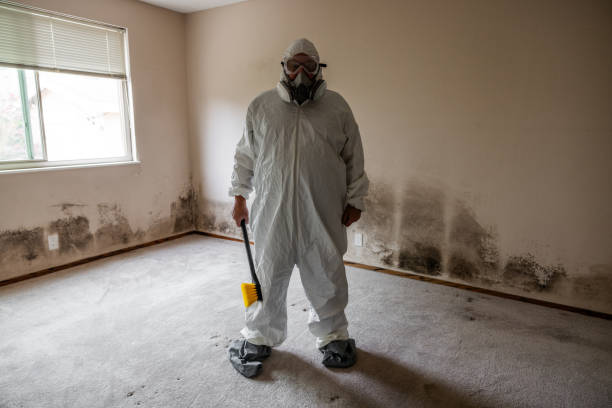 Best Attic Mold Removal  in Centerfield, UT